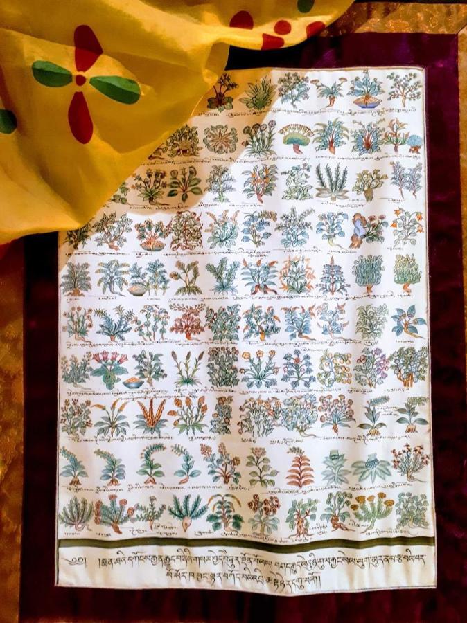B&B Saluzzo Paesana 1718 Turin Exteriör bild